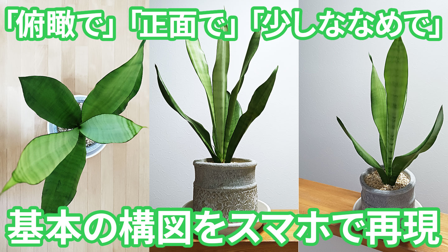 「俯瞰で」「正面で」「少しななめで」基本の構図をスマホで再現